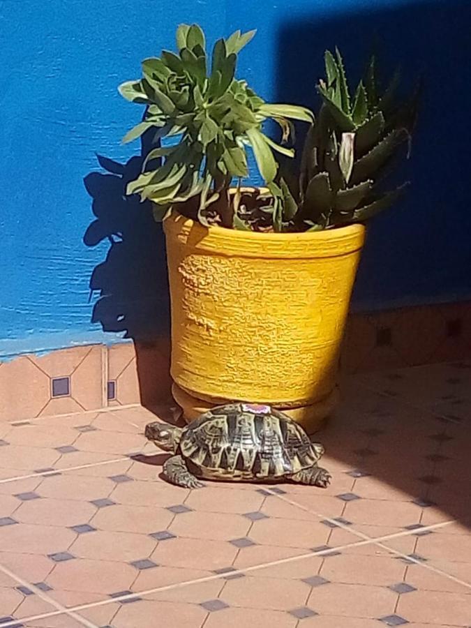 Riad Zinnha Marrakesh Eksteriør billede